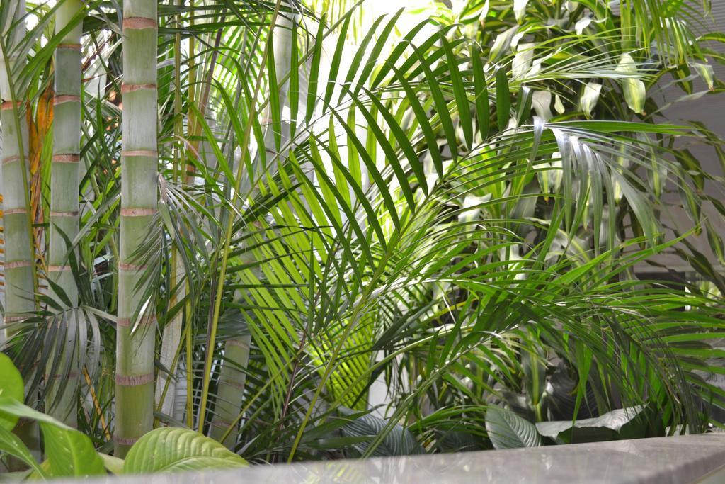 Hotel Guest Venancio Aires Bagian luar foto